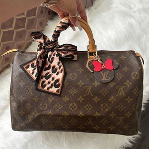 Louis Vuitton Speedy 35